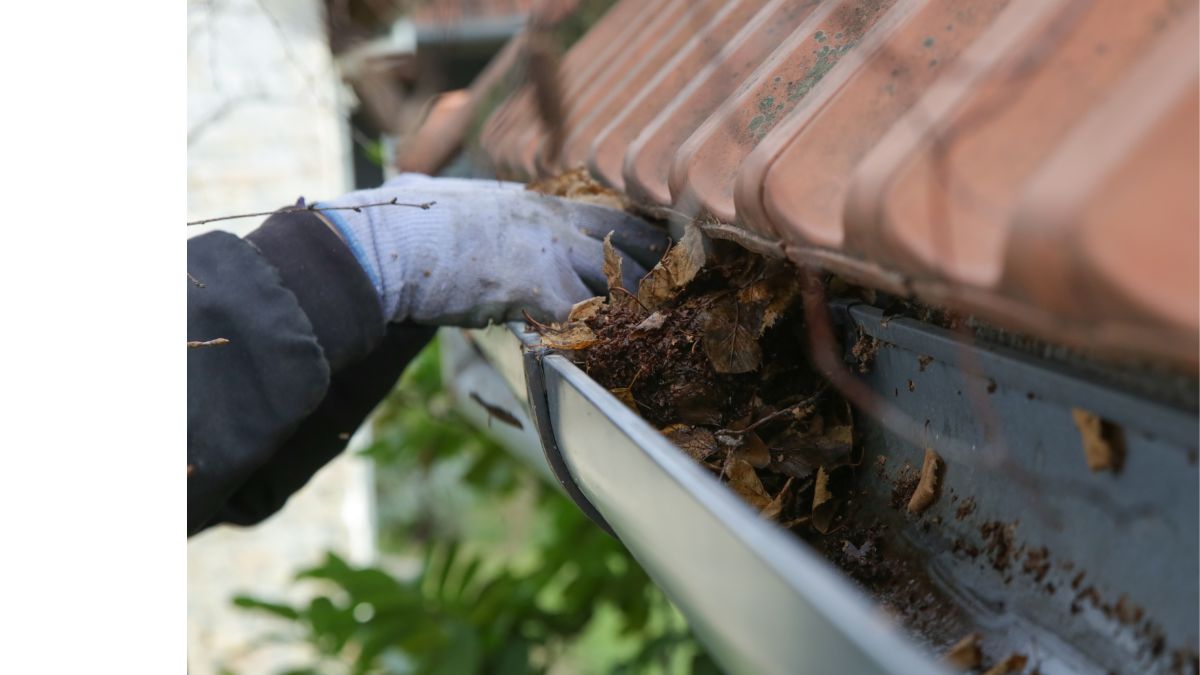 Gutter Cleaning