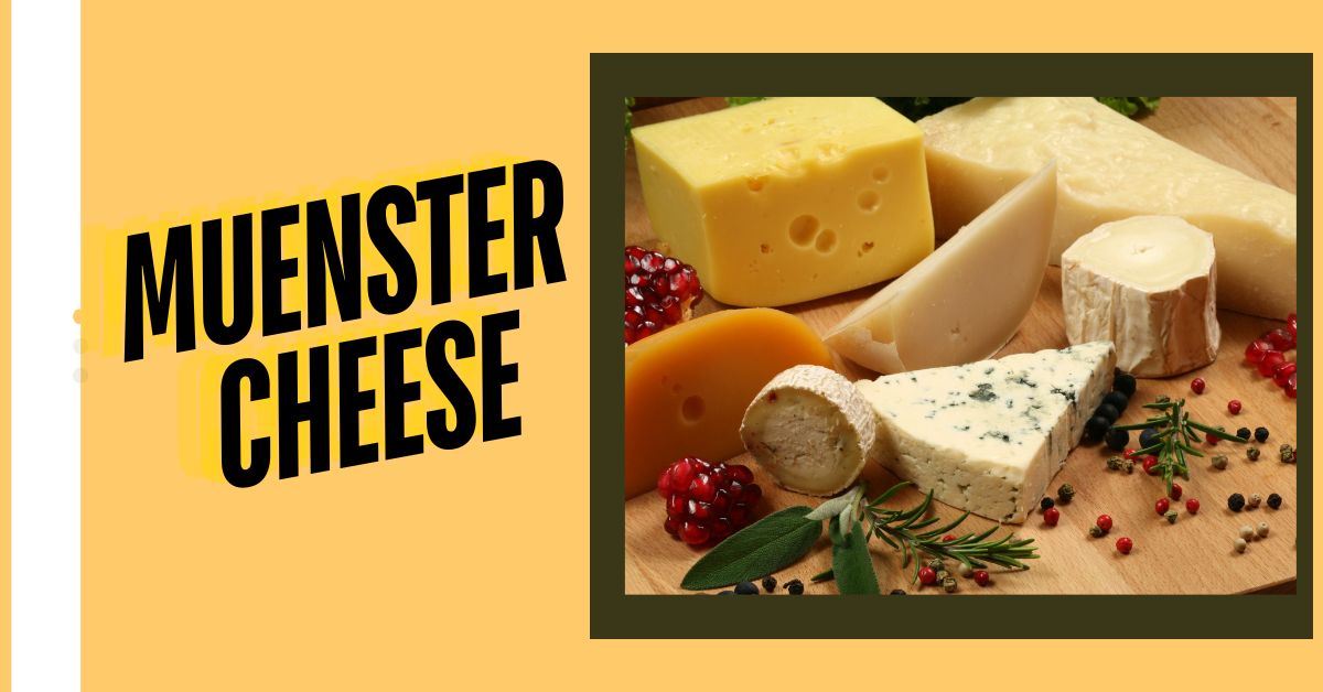 Muenster Cheese