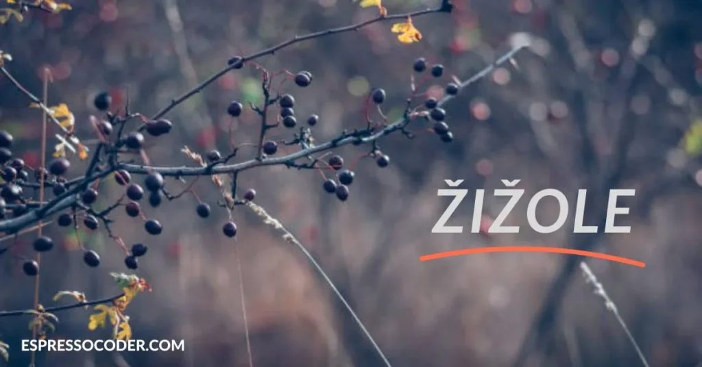 žižole