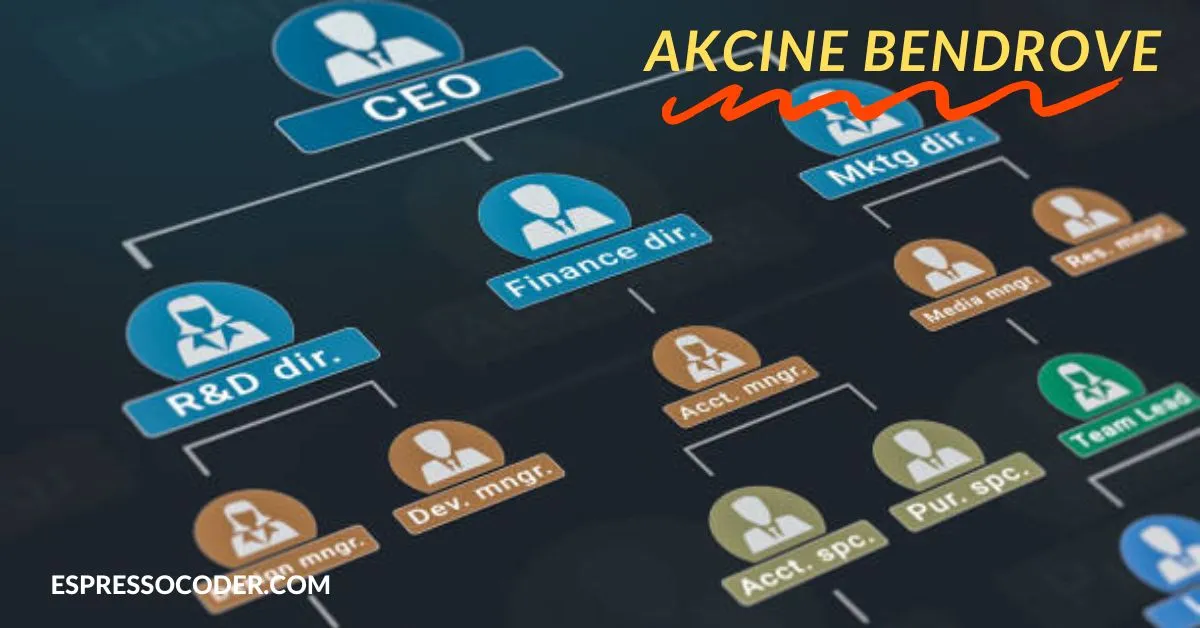 akcine bendrove