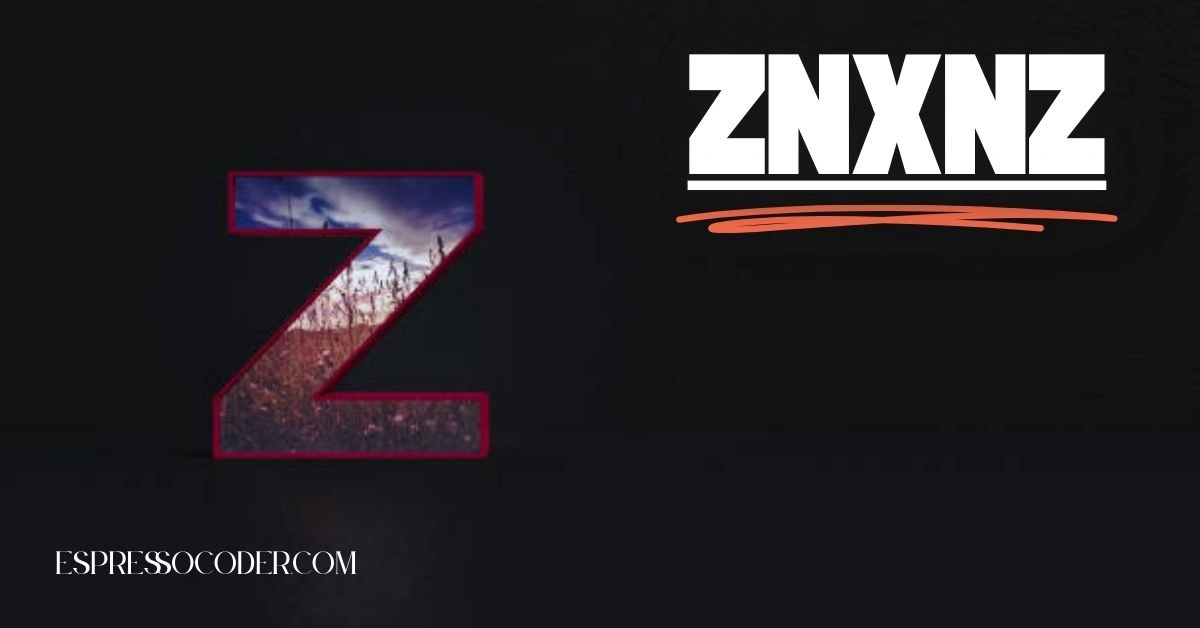 ZnXnZ username on gaming profile with dark theme background.