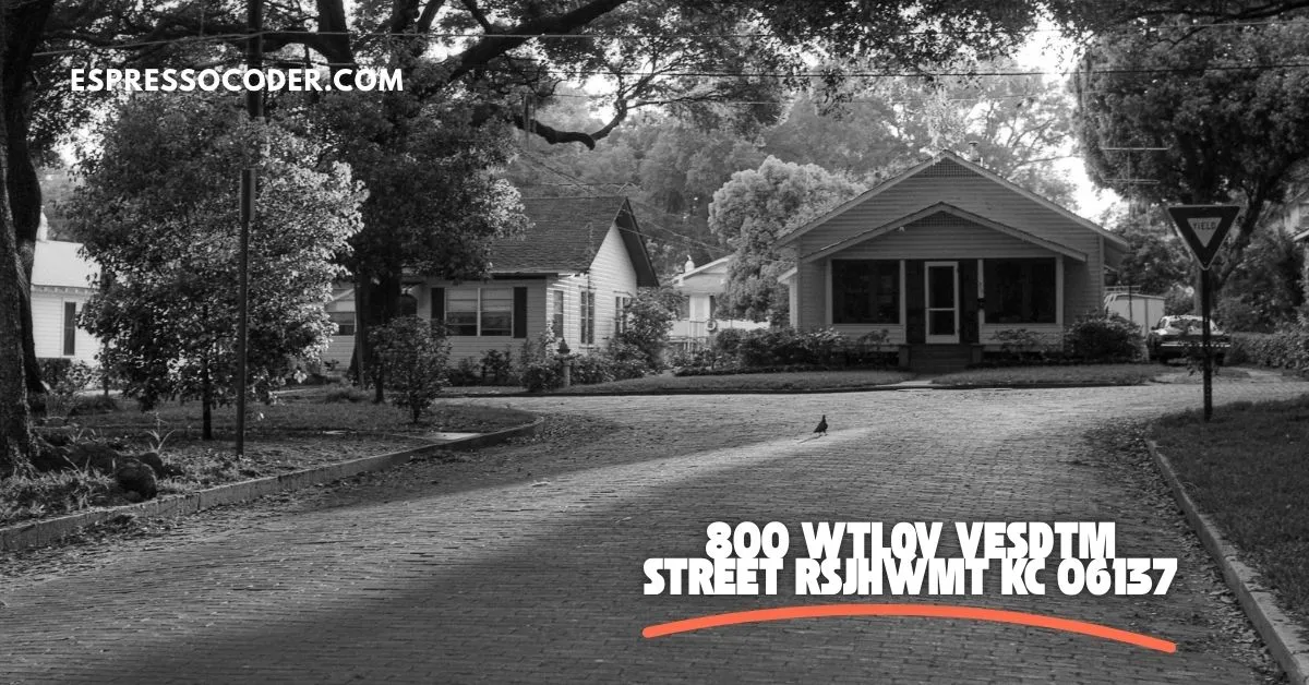 Online form example with 800 WTLQV Vesdtm Street entered as a fake address placeholder.