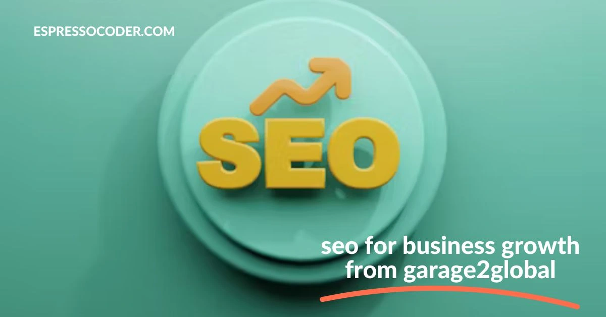Seohub SEO experts optimizing a local business website for organic search visibility.