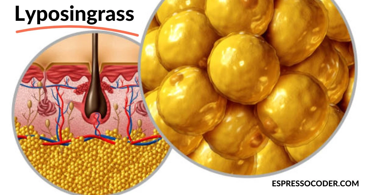 Fat cells under microscope showing reduced lipid droplets after lyposingrass extract application.