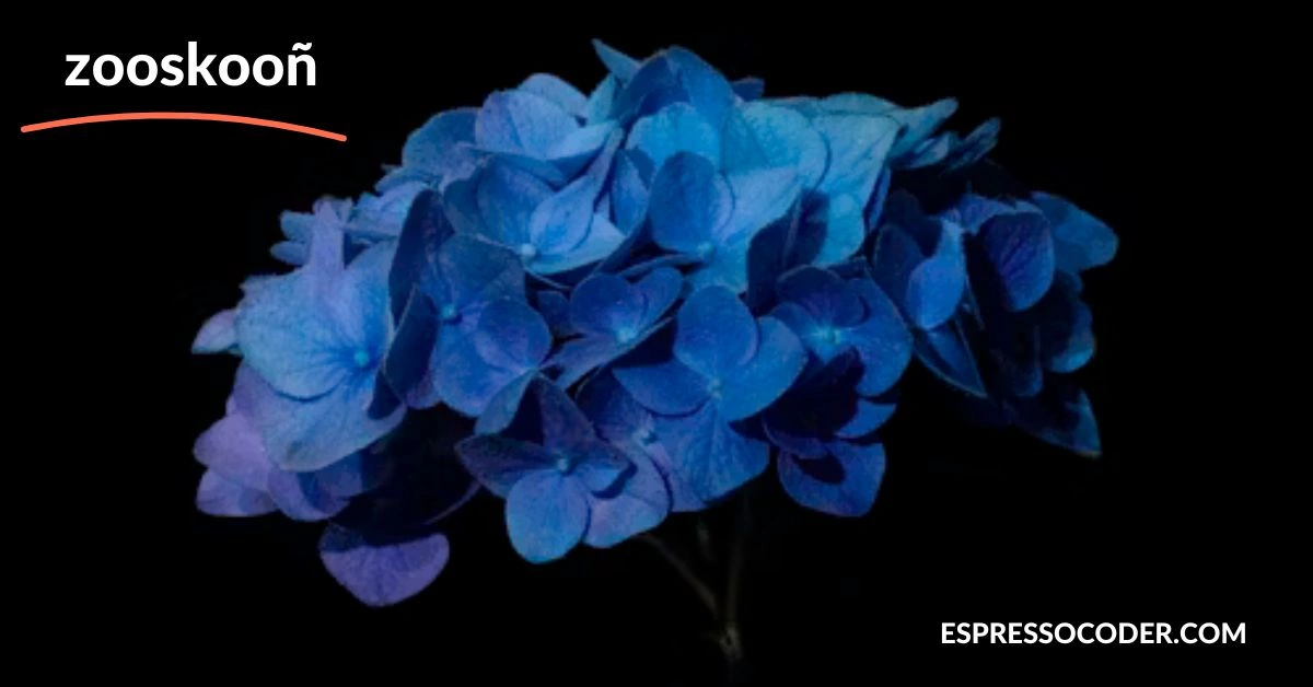 Time-lapse of Zooskooñ flower transitioning from blue to indigo over 23-day bloom cycle.