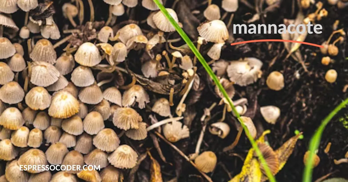 Slow-release Mannacote granules mixed into garden soil for long-term nutrient delivery.