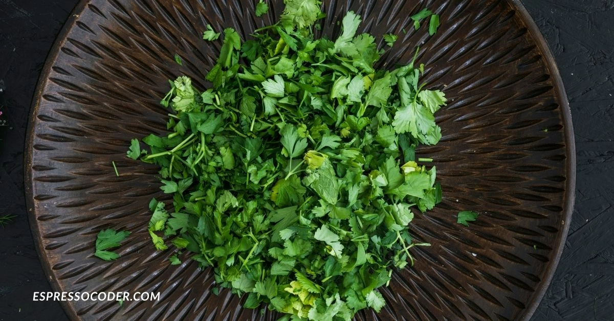 Fresh koriandri leaves cilantro in a bowl for cooking and garnish.