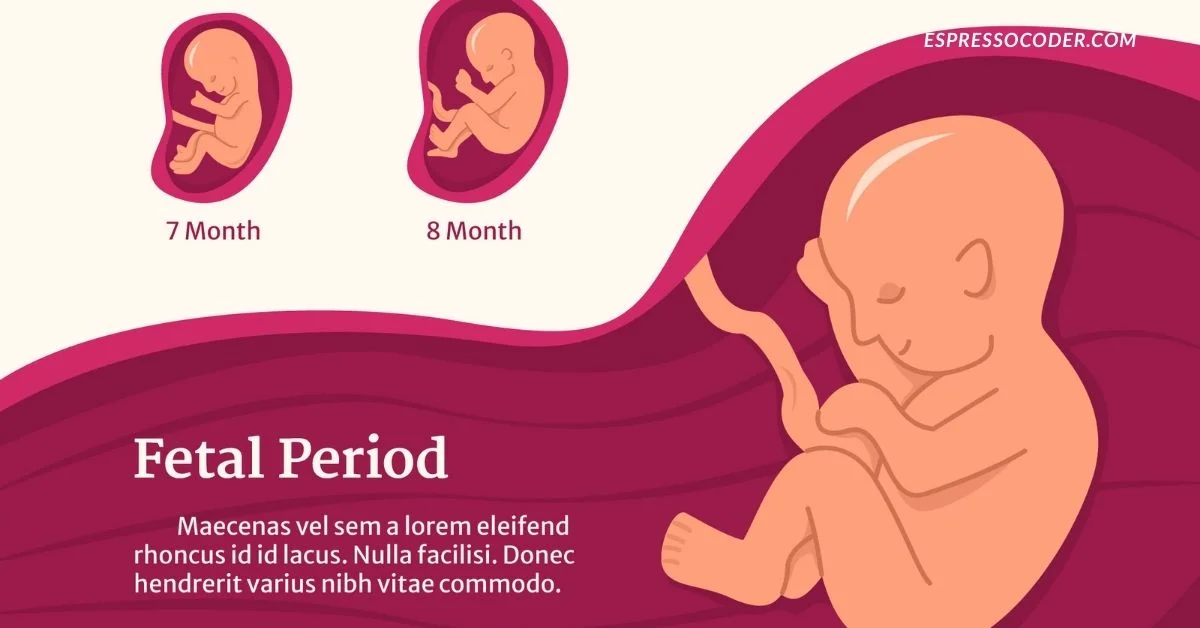 Diagram comparing gastroshiza vs omphalocele.