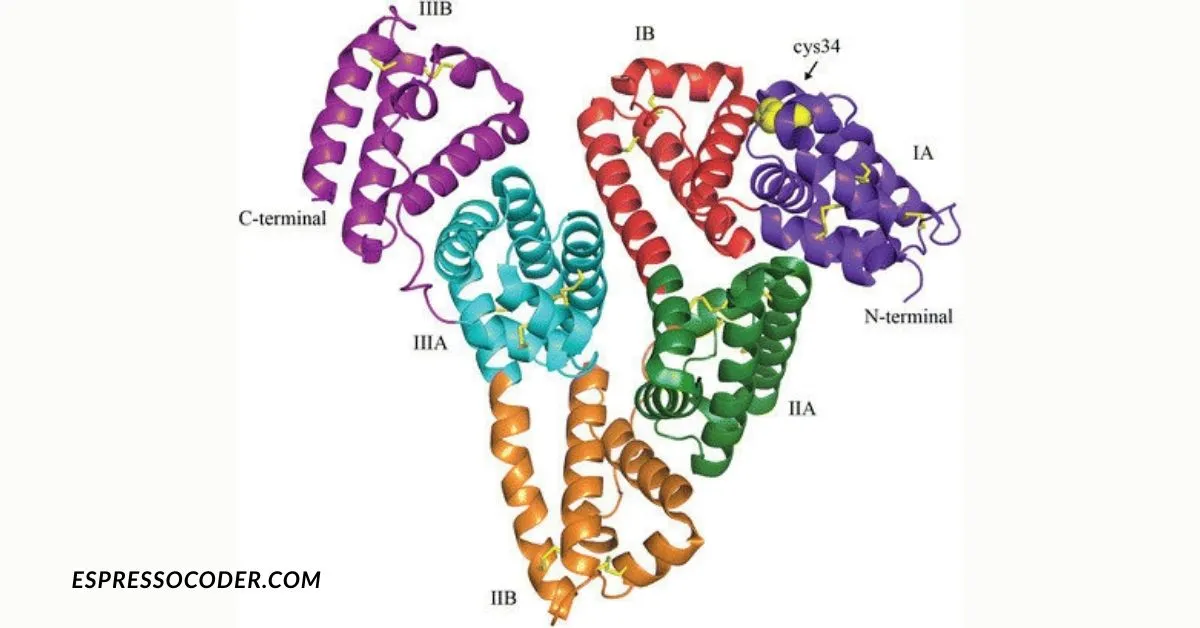Bovine serum albumīns molecular model, research-grade protein structure.