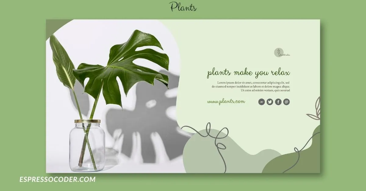 Modern Crocolini branding concept with lifestyle and design elements in minimal layout.